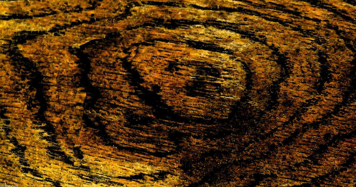 Son et vibration: Thérapie par les bols