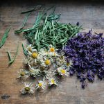 Herbal Nervines: A Cautious Overview of Plants That Calm the Nervous System