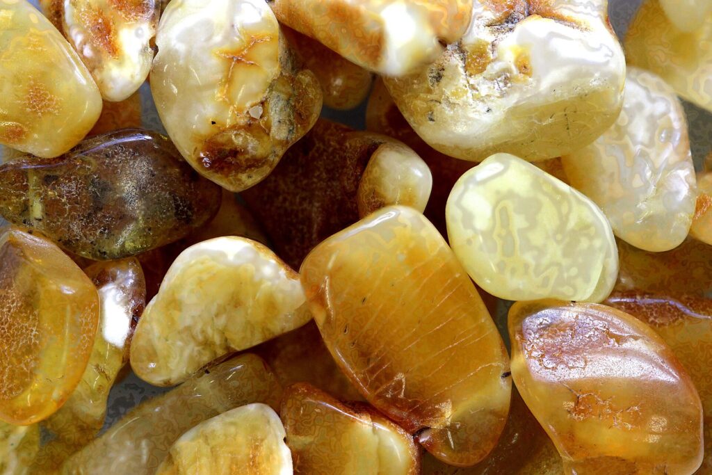 Morceaux d’ambre de la Baltique aux tons miel, translucides et de tailles inégales