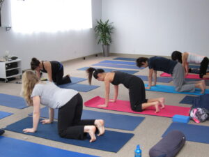 Choisir son style de yoga : hatha, vinyasa, yin