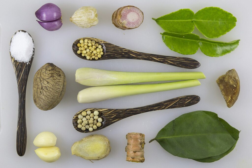Infusion ou décoction, la plante ne rend pas la même chose