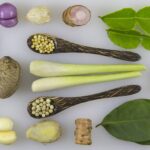Infusion ou décoction, la plante ne rend pas la même chose