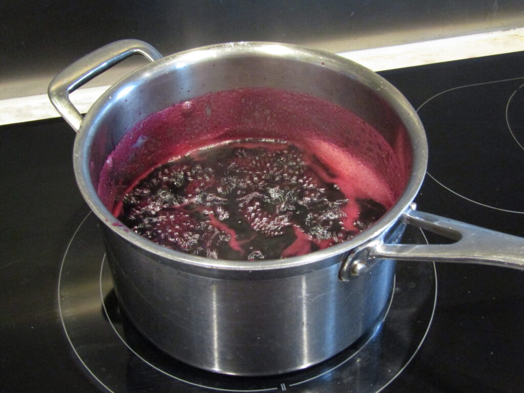 Petite casserole en inox sur une plaque, eau fr&eacute;missante et couvercle entrouvert